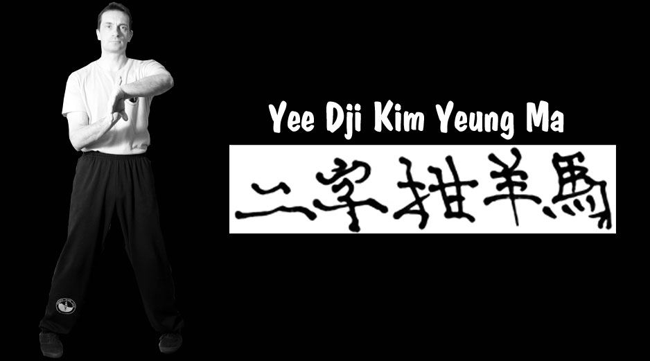 Posturologie grâce au Wing Chun