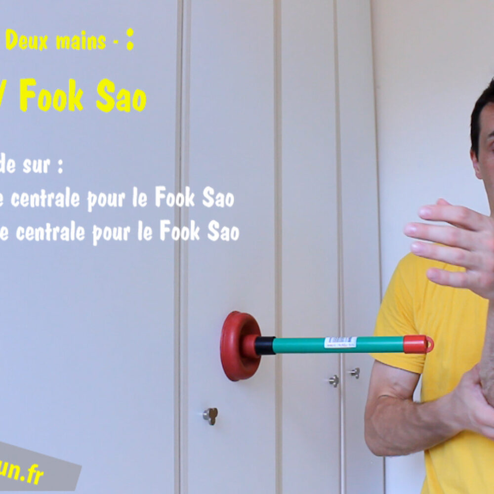 Spring Arms Wing Chun I – Image 3