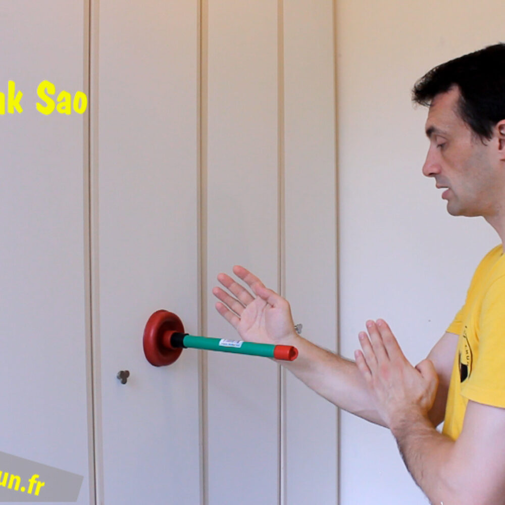 Spring Arms Wing Chun I – Image 5