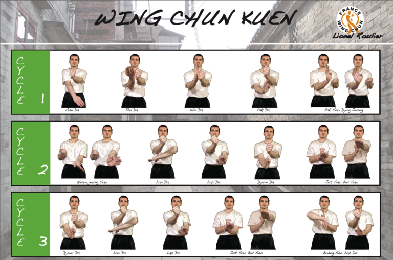 Pourquoi on ne comprend rien au Wing Chun !