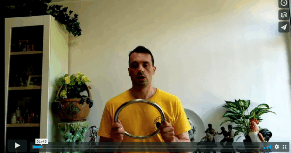 Wing Chun Ring I – Image 3