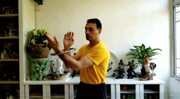 Wing Chun Ring I – Image 5