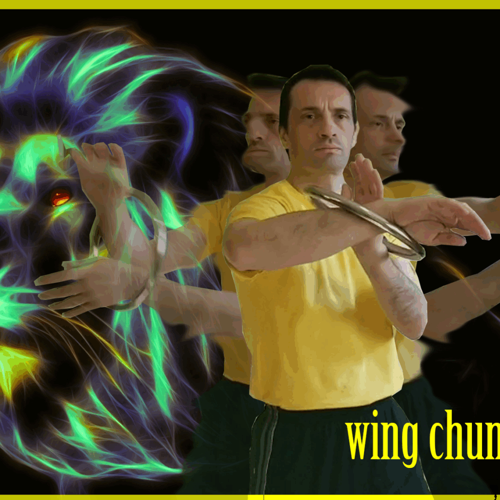Wing Chun Ring II