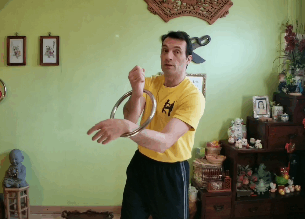 Wing Chun Ring II – Image 3
