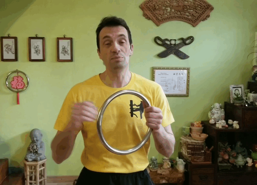 Wing Chun Ring II – Image 5
