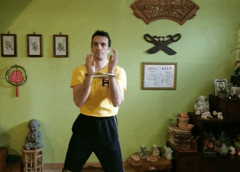 Wing Chun Ring II – Image 7