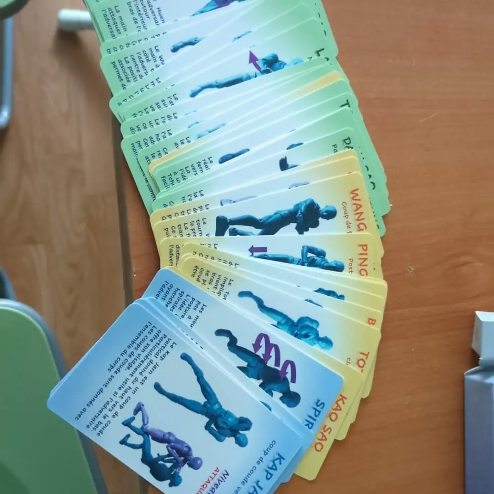 Cartes d'entrainement Wing Chun – Image 3