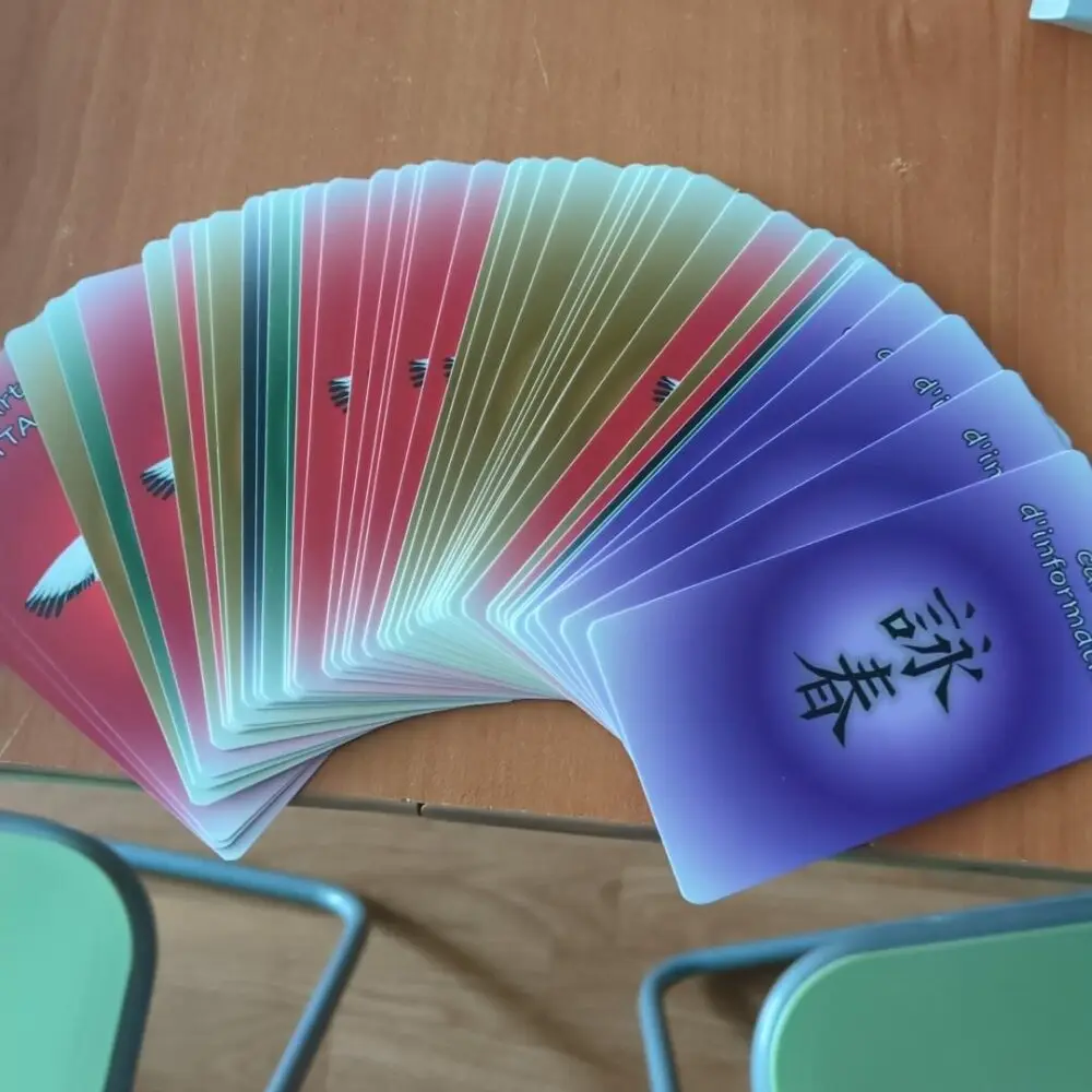 Cartes d'entrainement Wing Chun – Image 4